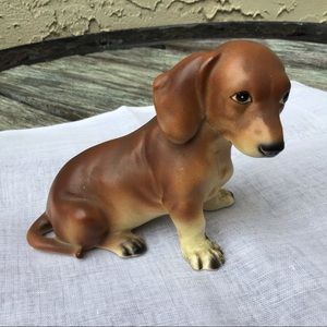 CUTE LEFTON PUPPY DOG